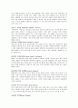 미국의 SOHO의 창업 사례 3페이지