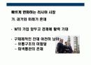 러시아에 대한 이해와 시장 진출전략 11페이지