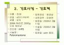 특발성비후성유문협착증 6페이지