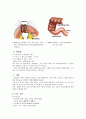 장중첩증 케이스 스터디 6페이지