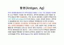 림프계와 신체방어 12페이지