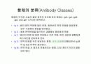 림프계와 신체방어 18페이지