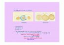 Urinanalysis ,요침사(물리적 검사,화확적 검사,현미경 검사) 11페이지