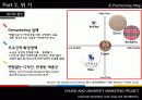 버버리(Burberry) 마케팅 10페이지