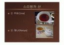 사업계획서 입니다 19페이지