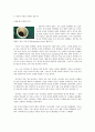 Gene Imprinting 4페이지