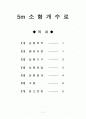 5m소형개수로 실험과 고찰 1페이지