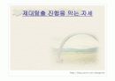 모성간호 C/sec  ppt 발표자료 23페이지
