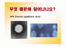 전염성 콘딜로마 ppt 자료 2페이지