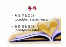 전염성 콘딜로마 ppt 자료 3페이지