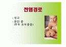전염성 콘딜로마 ppt 자료 5페이지