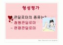 전염성 콘딜로마 ppt 자료 20페이지