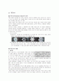 나노 소재 공학 과제 5페이지