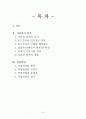 지리상의 발견과 상업혁명 2페이지