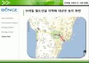 바이오연료 시장과 곡물시장, 그리고 벙기(Bunge) 29페이지
