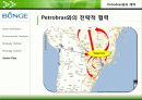 바이오연료 시장과 곡물시장, 그리고 벙기(Bunge) 32페이지