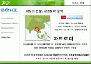 바이오연료 시장과 곡물시장, 그리고 벙기(Bunge) 34페이지