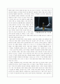 대중문화론 (징후적독해) - 영화 이퀼리브리엄 분석 4페이지