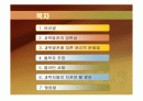 과학발전에 따른 윤리적 문제점-멜라민 2페이지