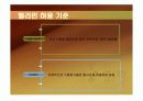 과학발전에 따른 윤리적 문제점-멜라민 14페이지