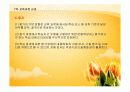 제7차 교육과정과 교과에 대해 사회과를 중심으로 PPT 19페이지