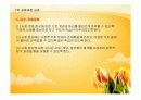 제7차 교육과정과 교과에 대해 사회과를 중심으로 PPT 28페이지
