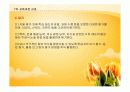 제7차 교육과정과 교과에 대해 사회과를 중심으로 PPT 29페이지