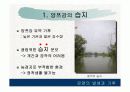 기후와 문화 8페이지