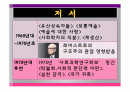 피에르 부르디외 PPT 2페이지