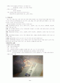 몬테소리의 교육프로그램 12페이지