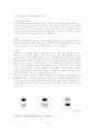 피아제의 인지발달이론 10페이지