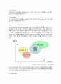 [기업사례분석] 『정식품 베지밀』(마케팅, STP, 4P 중심으로) 10페이지