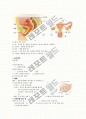 [생리학] 감각기관(피부,귀,눈)과 생식기관(남녀생식계)에 대하여 13페이지