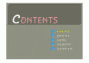 독일교육행정에 대한 전반적 이해PPT 2페이지
