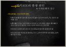 히키코모리를 통해 본 일본사회 17페이지