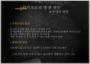히키코모리를 통해 본 일본사회 22페이지