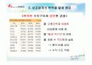 보람상조 마케팅 분석 및 상조업계의 부작용 27페이지