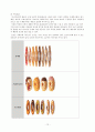 [인문과학] 미스터 도넛의 분석을 통한 향후 미래전략 제시 12페이지