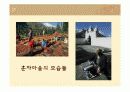 한국 및 세계 장수 마을의 식습관 19페이지