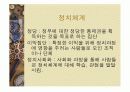 정치와 국가에 대한 PPT 17페이지