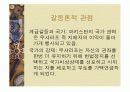정치와 국가에 대한 PPT 22페이지