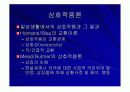 사회학의_관점과_발전.PPT자료 12페이지