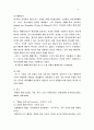 미드에 대한 체계적인 분석 5페이지