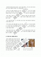[마약]마약의 정의 및 사용 역사와 종류 이해, 마약으로 인한 영향 및 피해 조사, 마약 복용(약물중독) 실태 및 대처 방안 7페이지
