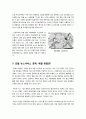 [포털뉴스서비스]포털의 뉴스 서비스 장단점 진단, 인터넷 뉴스서비스의 문제점과 해결방안, 포털의 뉴스서비스 어떻게 바라볼 것인가? 9페이지