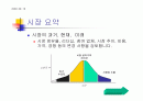 마케팅(신제품개발)에 따른 프리젠테이션 순서 2페이지