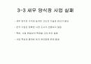 국내기업의 해외진출 사례분석 15페이지