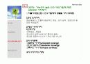 기업 인수(Acquisition) 합병과 조인트벤처 16페이지