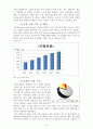 신상품개발 9페이지