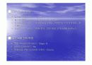 SK텔레콤과 KTF 4페이지